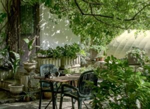 garden advice