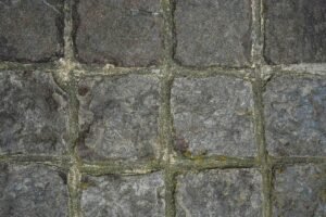 How to Clean Grout: The Complete Guide to Removing Stains and Restoring Tile